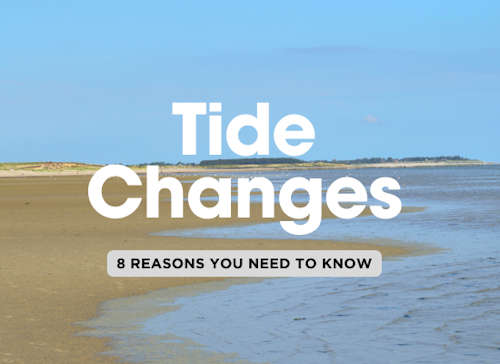 Top 8 Reasons Boaters Need to Know the Tide Before Heading Out